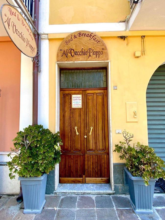 Bed and Breakfast Al Vecchio Pioppo Praia a Mare Zewnętrze zdjęcie
