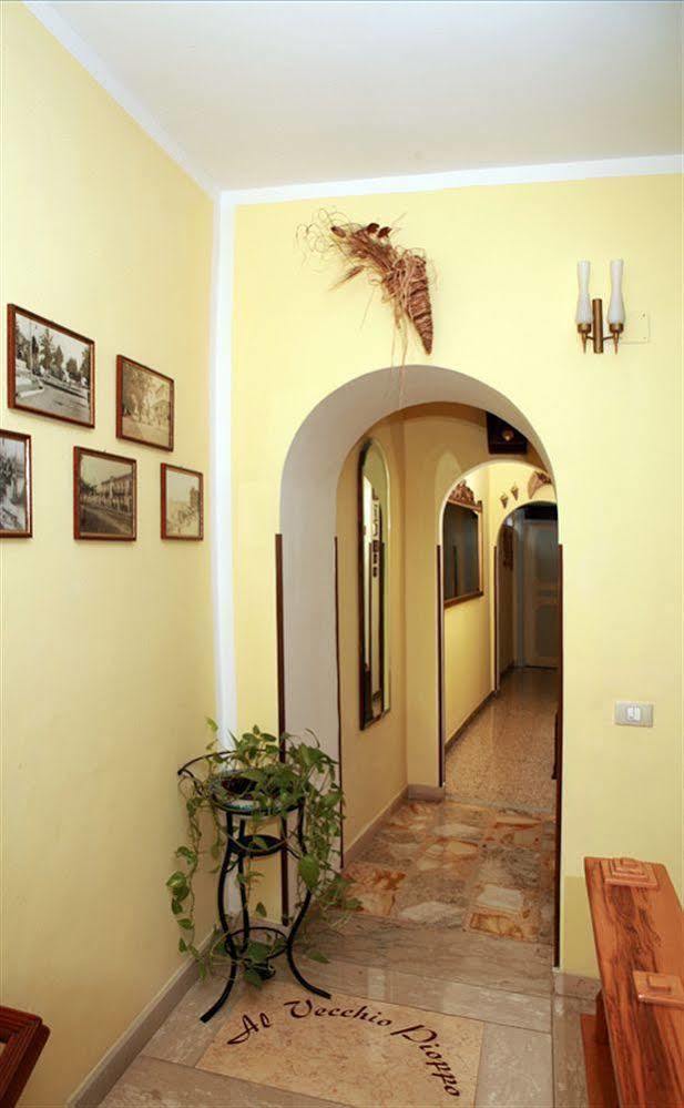 Bed and Breakfast Al Vecchio Pioppo Praia a Mare Zewnętrze zdjęcie
